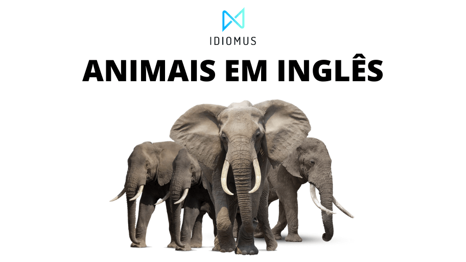 Animais Em Inglês (Domésticos, Da Fazenda, Selvagens, Marinhos)